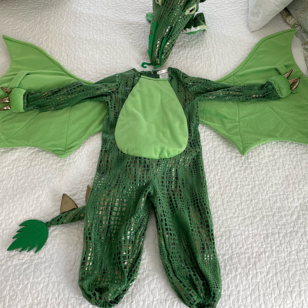 Pottery Barn Kids Dragon Costume 3T
